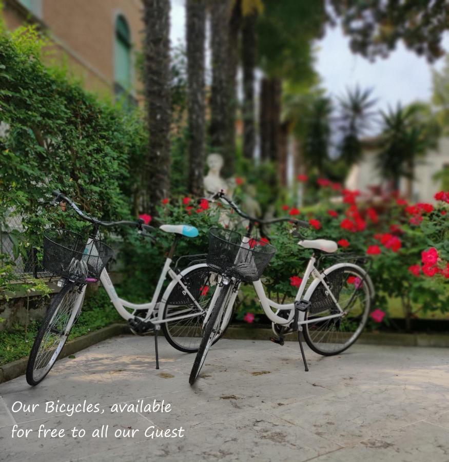 Hotel Villa Delle Palme Λίντο της Βενετίας Εξωτερικό φωτογραφία
